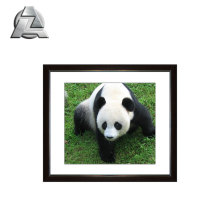 Funny extruded aluminum photo frame with mat